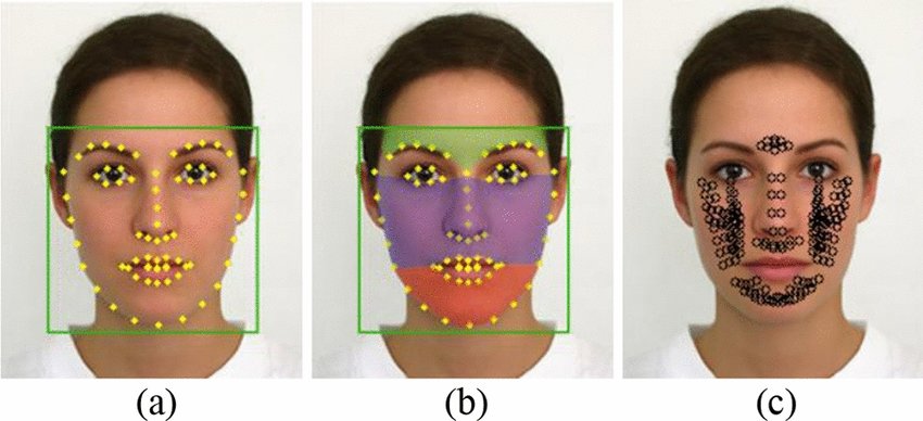 Diagrams-of-obtaining-skin-reference-points-a-The-face-detection-result-and-68-feature.jpg (63 KB)